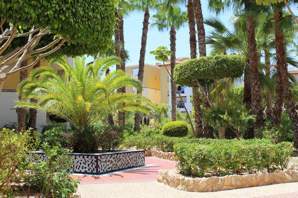 Aldea Del Mar Apartment Torrevieja Exterior photo